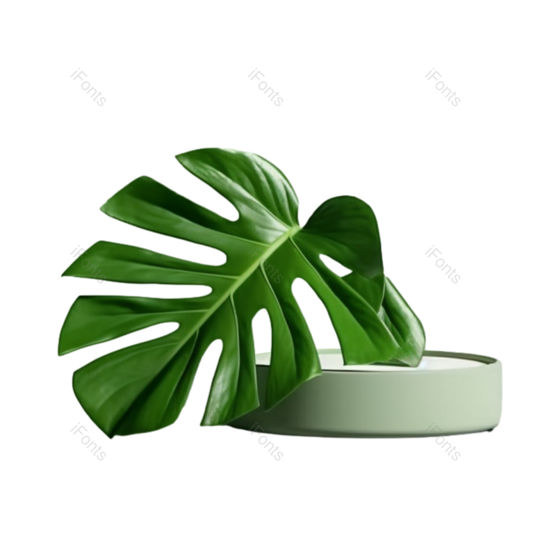 叶子图片,商品元素,现代PNG,摄影免抠素材